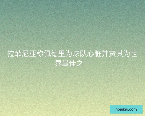 拉菲尼亚称佩德里为球队心脏并赞其为世界最佳之一