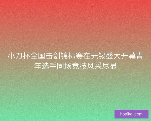 小刀杯全国击剑锦标赛在无锡盛大开幕青年选手同场竞技风采尽显