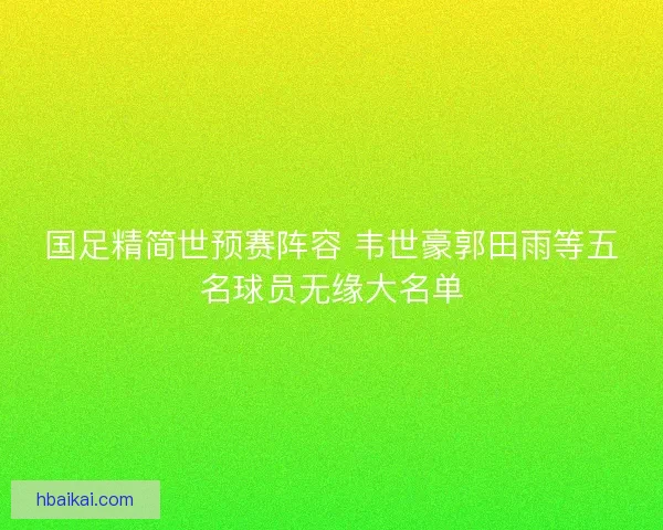 国足精简世预赛阵容 韦世豪郭田雨等五名球员无缘大名单 国足精简世预赛阵容 韦世豪郭田雨等五名球员无缘大名单